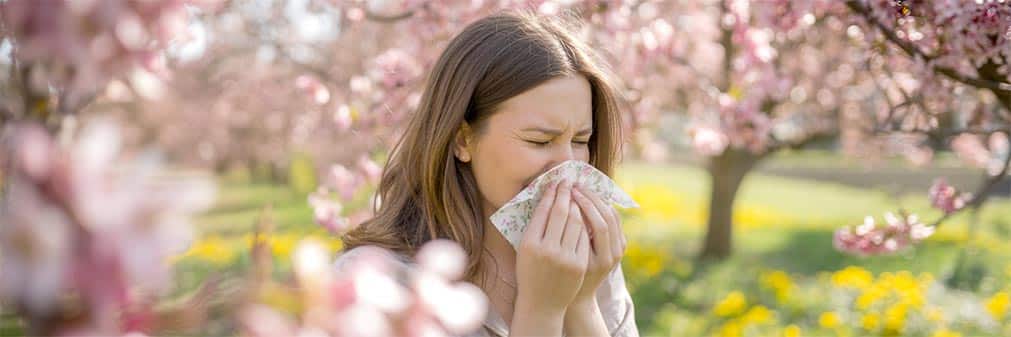 Allergie au pollen
